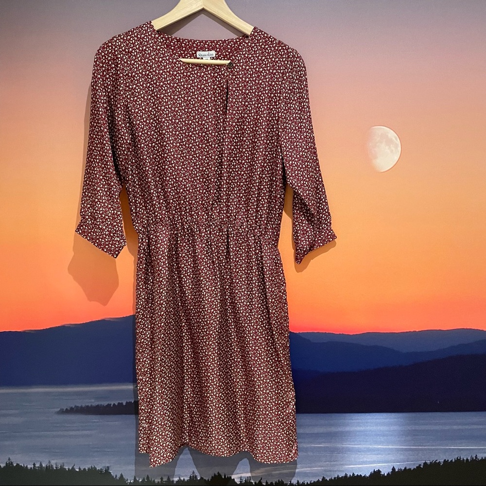 Steven Alan dress